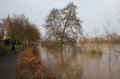 Hochwasser Seligenstadt 18.01.2011 004